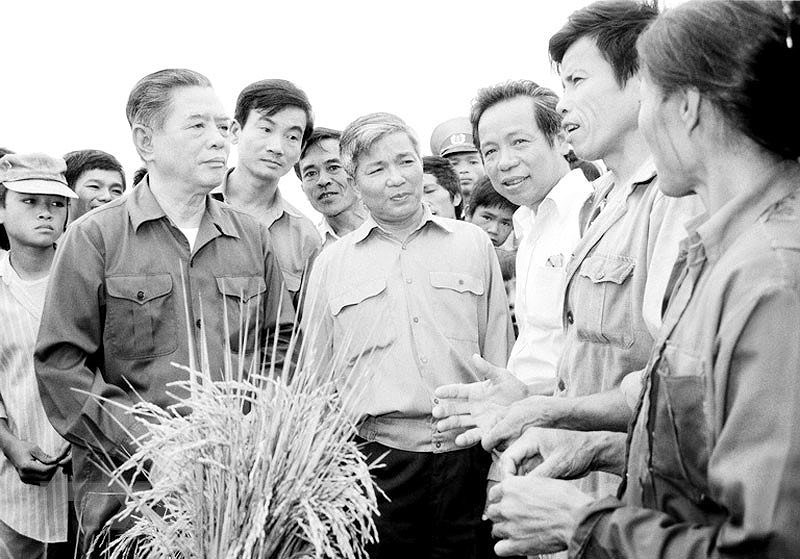 组图：越共六大：越南党提倡并领导革新开放事业 hinh anh 6