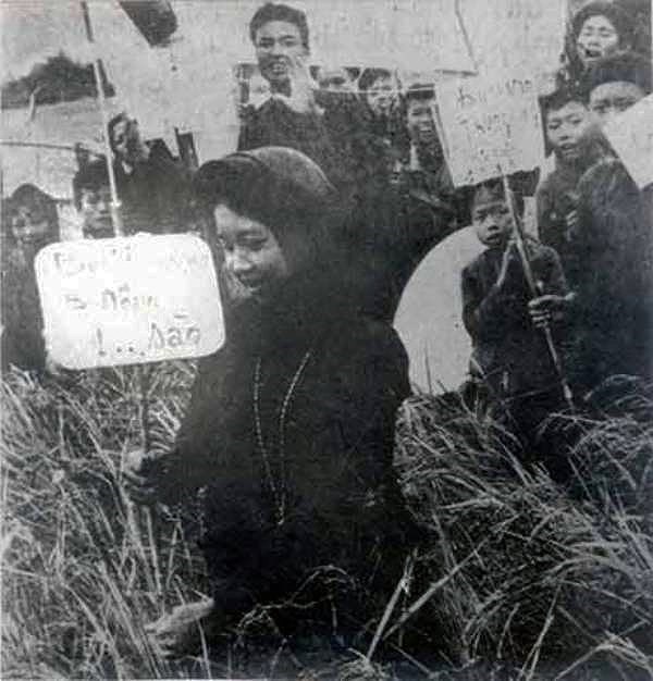 组图：越南共产党90年历史：土地改革-对人民高度负责，消除封建地主的土地占有制度 hinh anh 10