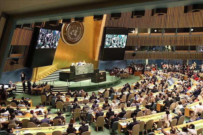 越南与联合国安理会：凸显越南在国际舞台上的烙印 hinh anh 1