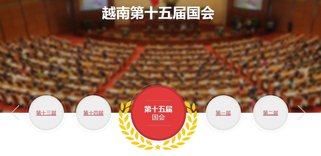 越通社越南第十五届国会和2021-2026年任期 各级人民议会选举信息专题网站正式上线 hinh anh 1