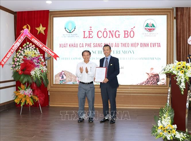 组图：越南首批咖啡按照EVFTA规定出口到欧盟 hinh anh 3
