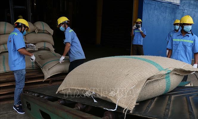 组图：越南首批咖啡按照EVFTA规定出口到欧盟 hinh anh 8