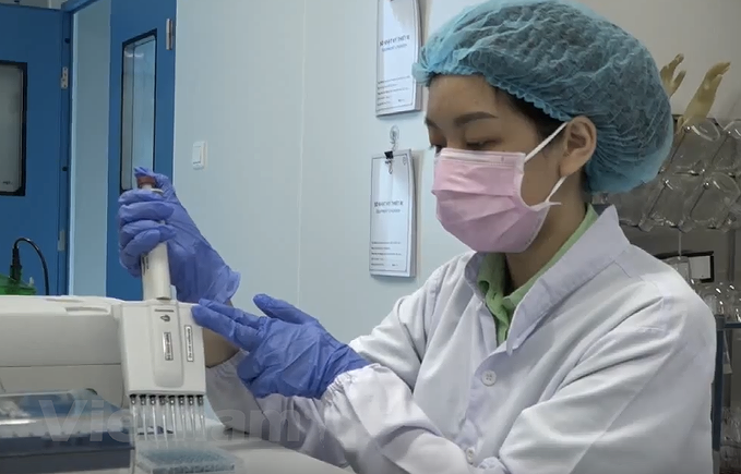 组图：越南招募1万名志愿者参加新冠疫苗第一阶段临床试验 hinh anh 7
