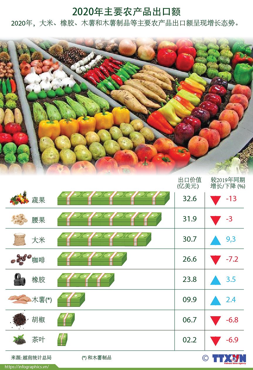 图表新闻：2020年越南主要农产品出口额呈现增长态势 hinh anh 1
