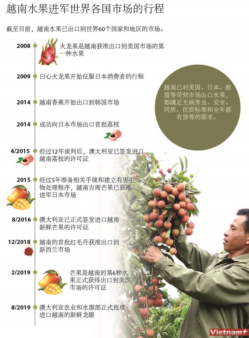 图表新闻：越南水果进军世界各国市场的行程 hinh anh 1