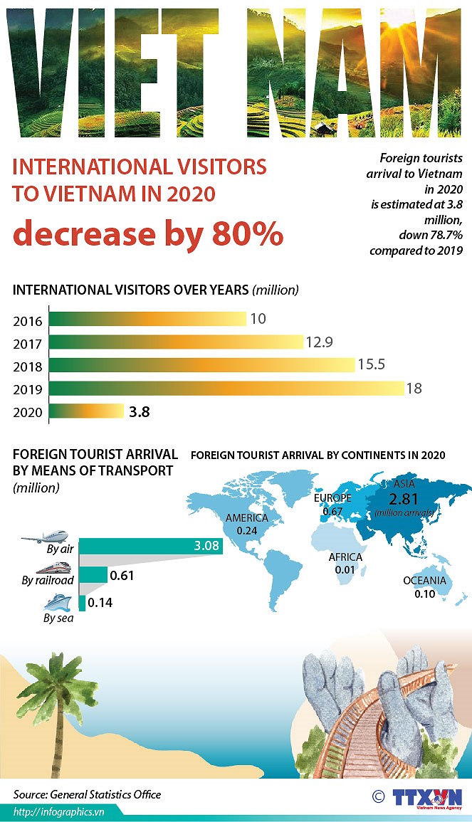 International visitors to Vietnam in 2020 decrease by 80 percent hinh anh 1