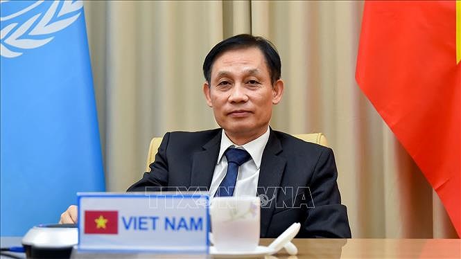 Vietnam gains breakthrough diplomatic success as UNSC member: official hinh anh 1