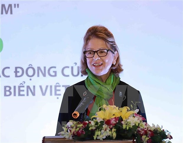 Vietnamese show stronger interest in legislative body: UNDP representative hinh anh 1