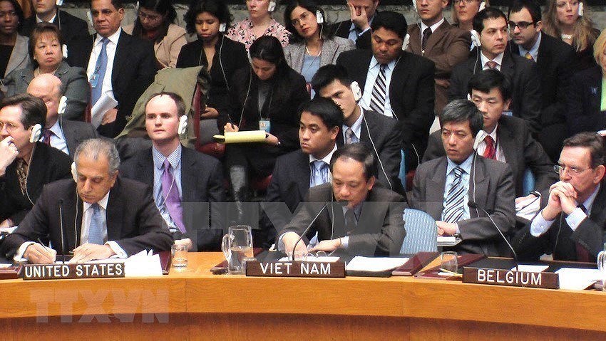 Vietnam: miembro activo y responsable de la ONU hinh anh 4