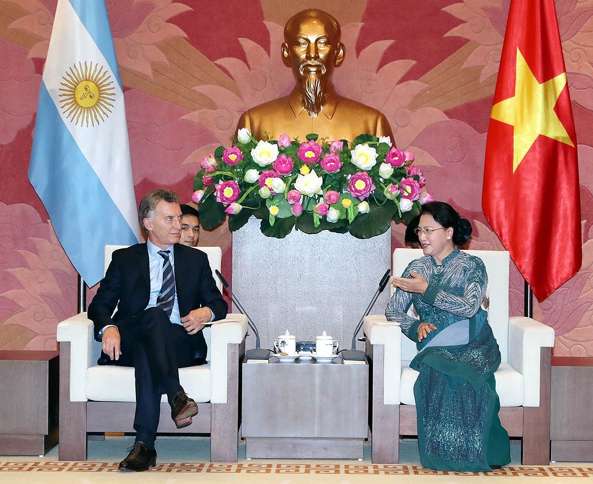 [Foto] Vietnam y Argentina conmemoran aniversario de establecimiento de relaciones diplomaticas hinh anh 5