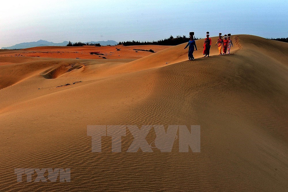 [Foto] Imagenes de Ninh Thuan en desarrollo hinh anh 13
