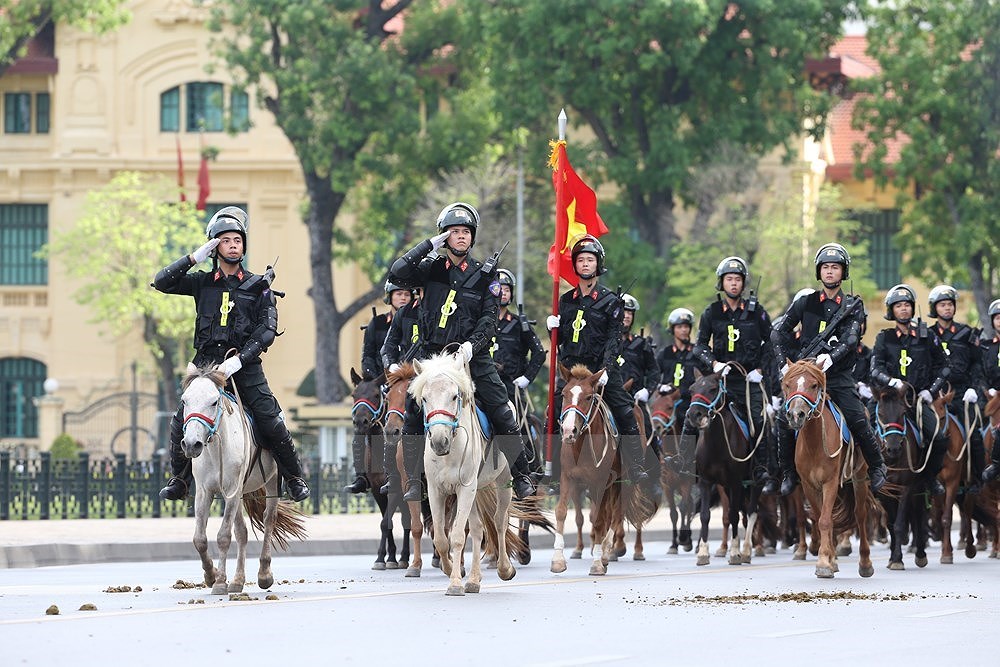 [Foto] Fundan unidad de policia movil de caballeria en Vietnam hinh anh 4