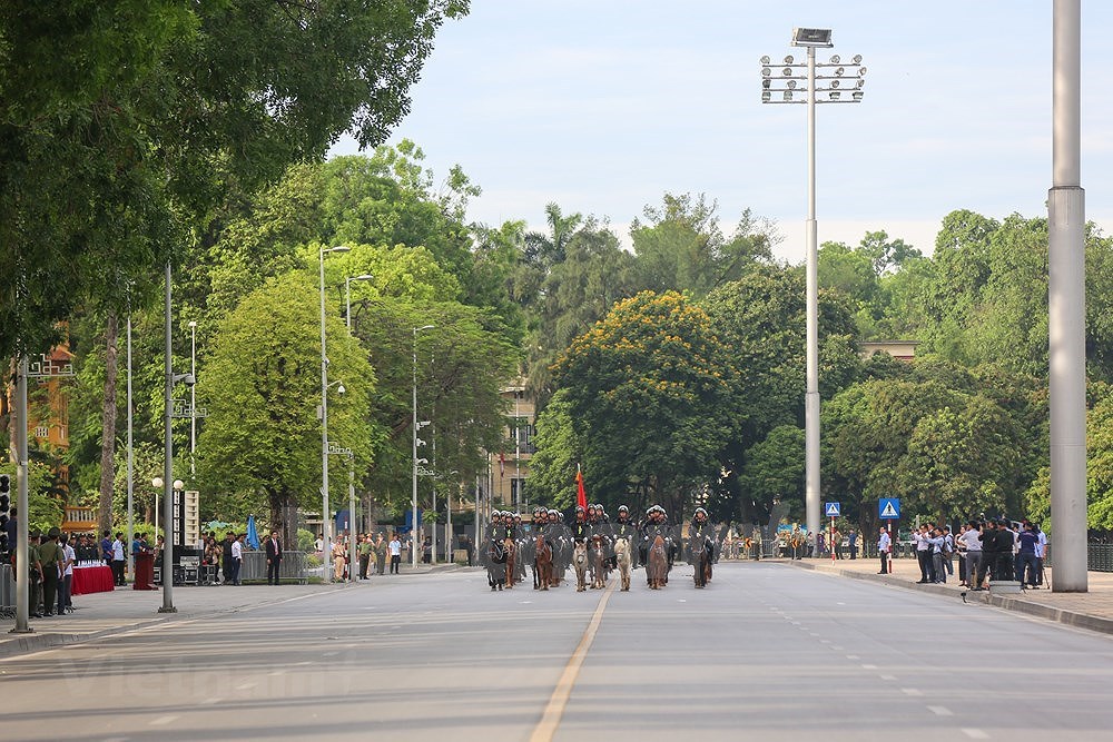 [Foto] Fundan unidad de policia movil de caballeria en Vietnam hinh anh 14