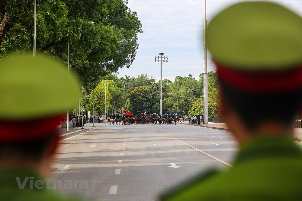 [Foto] Fundan unidad de policia movil de caballeria en Vietnam hinh anh 13