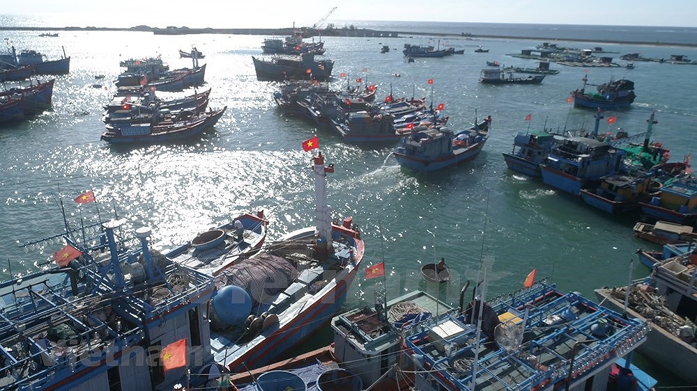 [Foto] Entregan banderas nacionales y botiquines para los pescadores en Ly Son hinh anh 6