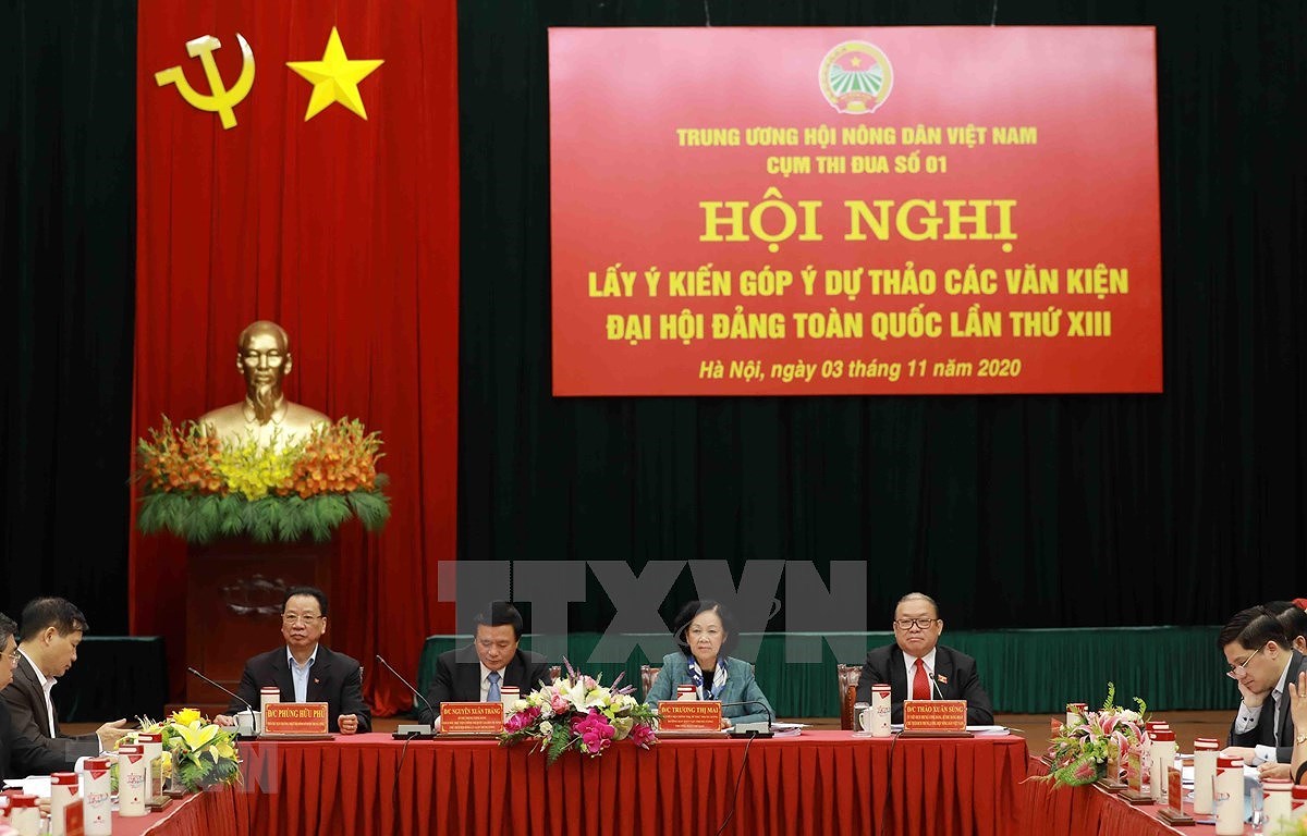 Continuan los debates sobre documentos del XIII Congreso Nacional del Partido Comunista de Vietnam hinh anh 1