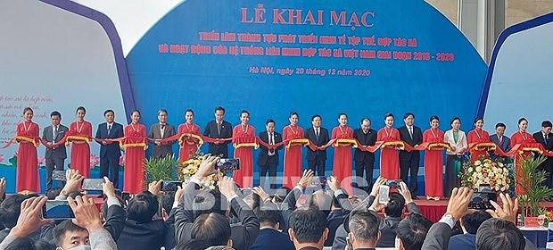 Presentan avances en desarrollo de economia colectiva en Vietnam hinh anh 1