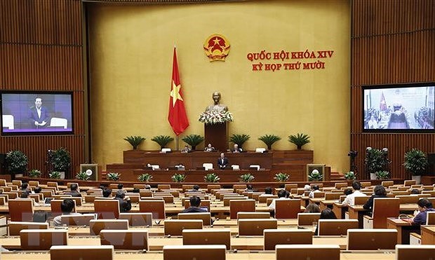 2020: Hito especial en desempeno de la Asamblea Nacional de Vietnam hinh anh 2