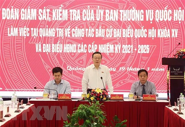 Localidades vietnamitas se preparan para las proximas elecciones legislativas hinh anh 2