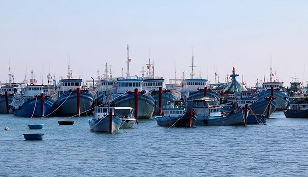 Empenado Vietnam en fomentar desarrollo sostenible de economia maritima hinh anh 2