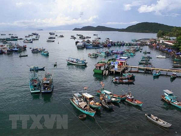 Empenado Vietnam en fomentar desarrollo sostenible de economia maritima hinh anh 1