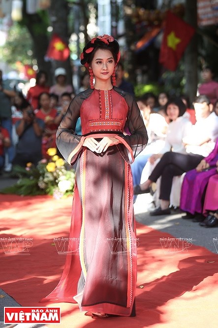Semana del Ao Dai: Honran al traje tradicional de Vietnam hinh anh 12