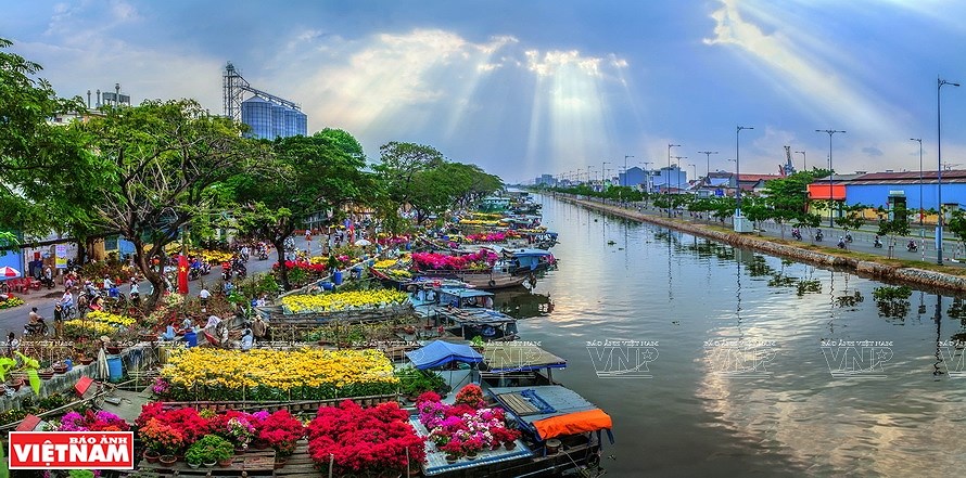 Красочная жизнь Вьетнама через объектив фотографов-женщин Хошимина hinh anh 1
